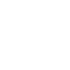 icons8-global-100